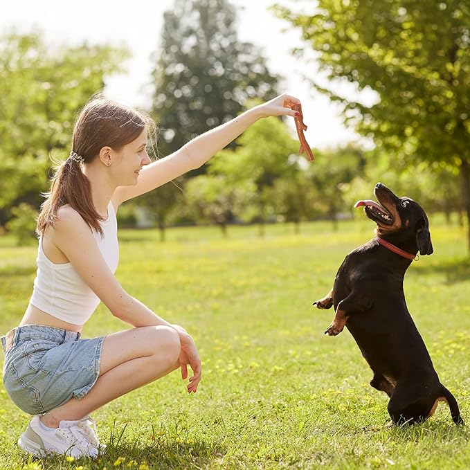 SPOT Bam-bones PLUS Branch -Bamboo Fiber & Nylon, Durable Long Lasting Dog Chew for Aggressive Chewers – Great Toy for Adult Dogs & Teething Puppies under 60lbs, Non-Splintering, 5.75in, Beef Flavor