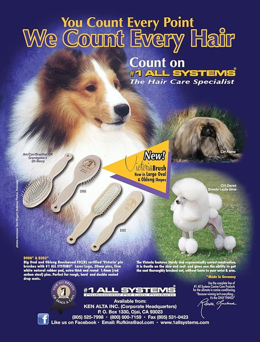 #1 All Systems D908 - Victoria Pin Brush