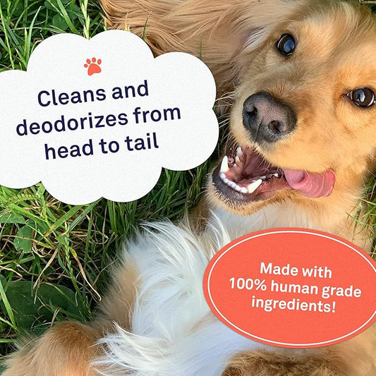 Petpost | Grooming Wipes for Dogs - Large, Deodorizing Wipes with Cherry Blossom Scent - 70 Ultra Soft Cotton Pads in Cleansing Solution - Cherry Blossom Scent 70 ct.