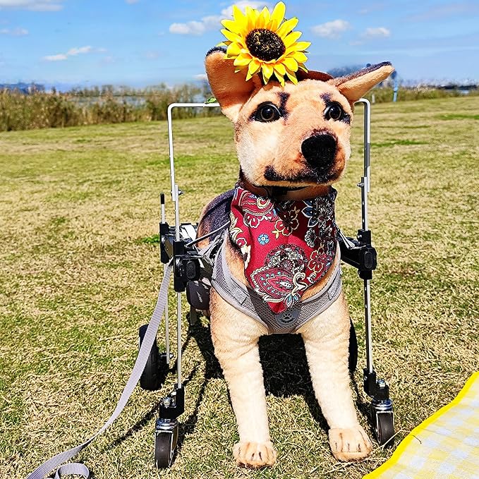 Dog Wheelchair,Lightweight Aluminum Frame with Handle,Extended Leg Straps,Includes Leash,Fits Pugs,French Bulldogs,and Schnauzers(Middle Size)/Beagle,Corgi,and Cocker Spaniel(Large Size)