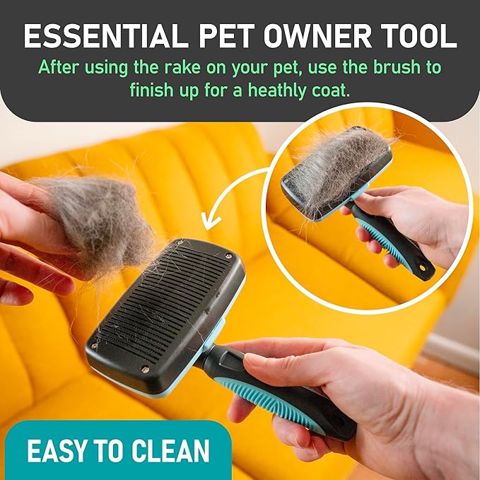 Maxpower Planet Self Cleaning Dog Hair Brush - Gently Removes Loose Undercoat, Mats and Tangled Hair for Dogs and Cats - Doodle Brush - All Hair Types - Blue