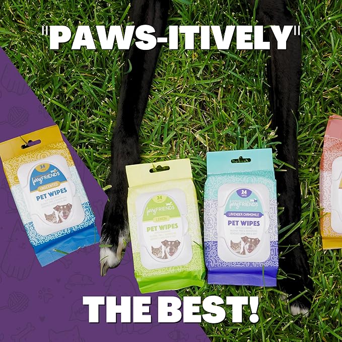 FurryFriends Pet Wipes | BlackBerry | Hypo-allergenic | Alcohol Free| Deodorizing | Removes Loose Hair & Dirt | Incredibly Clean | 200 ct. 1 Pack