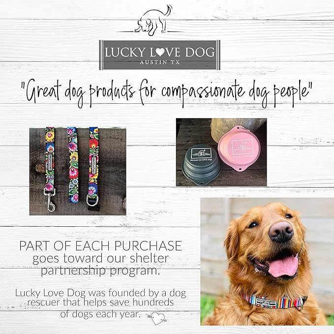 Lucky Love Dog Wide Martingale Dog Collar - No-Slip, Durable, & Soft Webbing 1.5 inch Martingale Collar for Dogs Male and Female - Ideal for Training & Walking, Stylish Ladybird Pattern, Medium Size