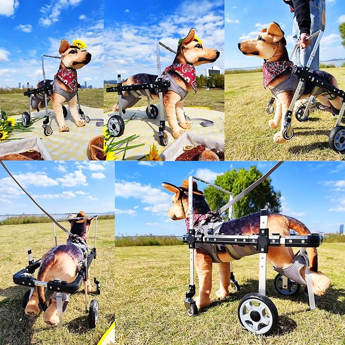 Dog Wheelchair,Lightweight Aluminum Frame with Handle,Extended Leg Straps,Includes Leash,Fits Pugs,French Bulldogs,and Schnauzers(Middle Size)/Beagle,Corgi,and Cocker Spaniel(Large Size)