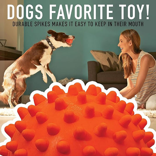 Franklin Pet Supply Co. Ready Set Fetch All Weather Ball - Launcher Ball - Slobber and Water Resistant,Orange