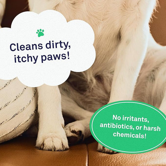 Petpost | Paw Wipes for Dogs - Nourishing, Revitalizing Dog Paw Cleaner with Coconut Oil, Jojoba Oil, and Aloe - Ultra Soft Cotton Pads - Cherry Blossom Scent 70 ct.