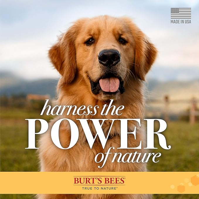 Burt's Bees for Pets Deodorizing Spray for Dogs with Apple and Rosemary, 99.7% Natural Origin Formulas, Waterless Dog Shampoo - Gentle Dry Shampoo for Dogs, Best Dog Shampoo, 10 oz