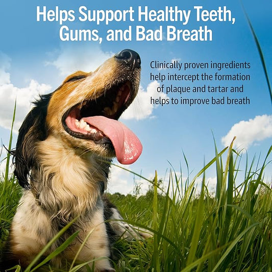 Dog Peanut Butter - Dog Breath Freshener - Anti Plaque, Tartar, & Bad Breath - Dog Dental Treats for Better Oral Care and Gum Health - Dental (8.46oz)