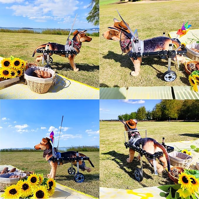 Dog Wheelchair,Lightweight Aluminum Frame with Handle,Extended Leg Straps,Includes Leash,Fits Pugs,French Bulldogs,and Schnauzers(Middle Size)/Beagle,Corgi,and Cocker Spaniel(Large Size)