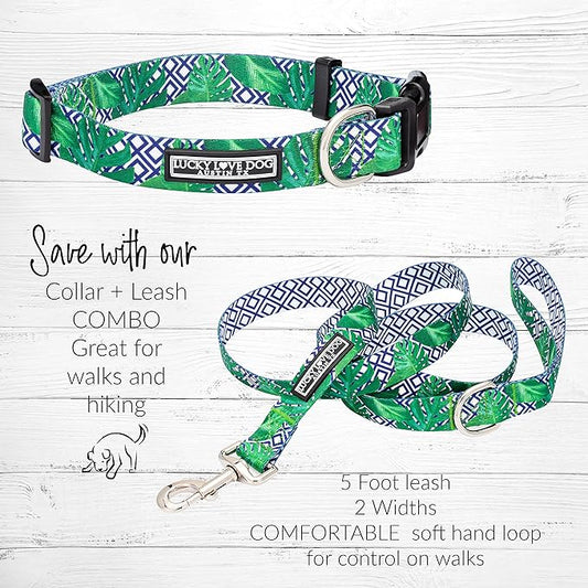 Lucky Love Dog Collar and Leash Set, Beautiful & Vivid Patterns, Easy On & Off Clasp Accessory (Blue Laguna, L Combo)