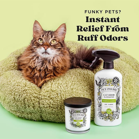 Pet-Pourri Pet Odor Air + Fabric Odor Eliminator Spray, Purrfectly Bamboo, 16 Fl Oz