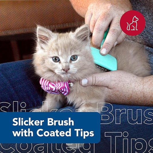 Coastal Pet Li'l Pals - Kitten Slicker Brush with Coated Tips