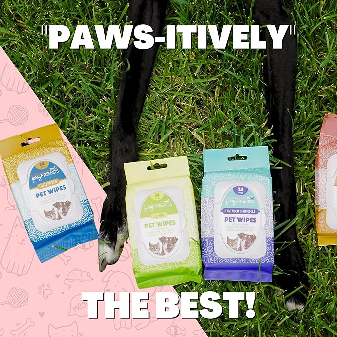 FurryFriends Pet Wipes | Strawberry | Hypo-allergenic | Alcohol Free| Deodorizing | Removes Loose Hair & Dirt | Incredibly Clean | 200 ct. 1 Pack