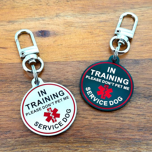 Service Dog ID Tag for Small & Large Dogs - Emotional Support ESA Medical Alert Collar Accessory - Durable Stainless Steel Service Animal Tag - in Traning Service Tag in Silver Small