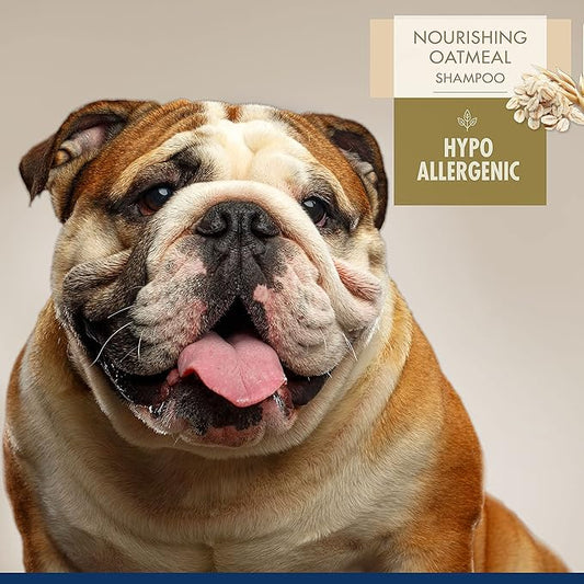 Four Paws Magic Coat Professional Series Nourishing Oatmeal Hypo-Allergenic Dog Shampoo, 16 oz.