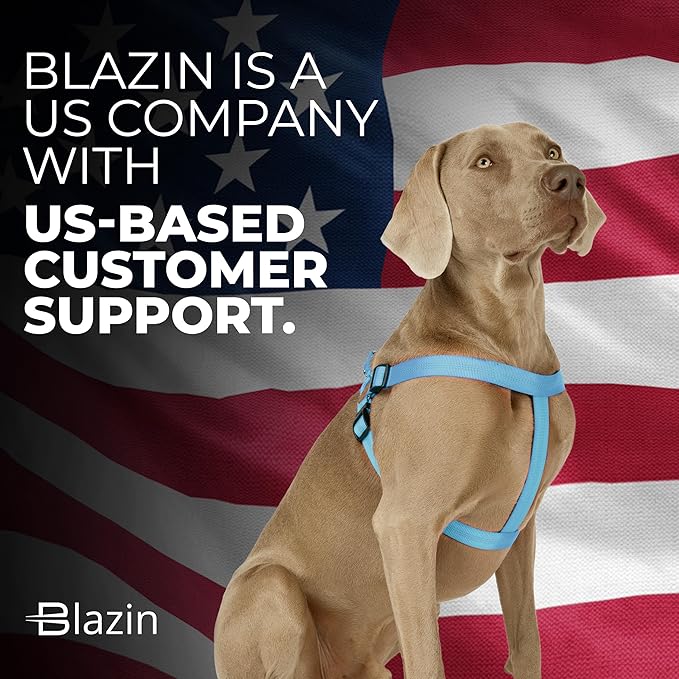 BLAZIN Reflective Dog Harness - 'Color Me Happy!' Adjustable Step-in Reflective Nylon Vest Harness - Neoprene Padded for Extra Comfort (Medium, Blue)