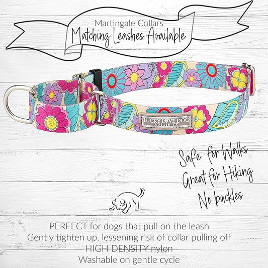Lucky Love Dog Martingale Collar and Leash Set, Premium No Slip Martingale Collar for Dogs, Great for Whippets, Greyhounds, and More (Caroline, Medium - Combo)