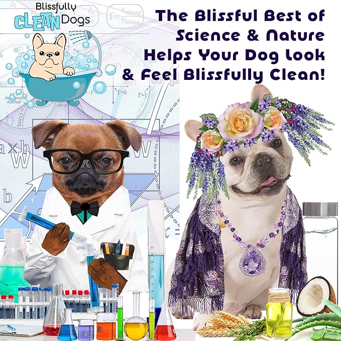 The Blissful Dog Italian Greyhound Drama Queen Dog Shampoo, 8 oz.