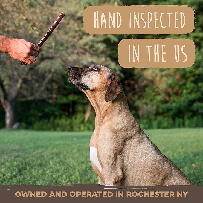 Mighty Paw Naturals Bully Sticks for Dogs - Grass Fed Beef Dog Chews. Dog Bully Sticks for Large Dogs, Medium and Small Breeds. Lower Odor Bully Sticks for Small Dogs. Single Ingredient (12" - 5 Pack)