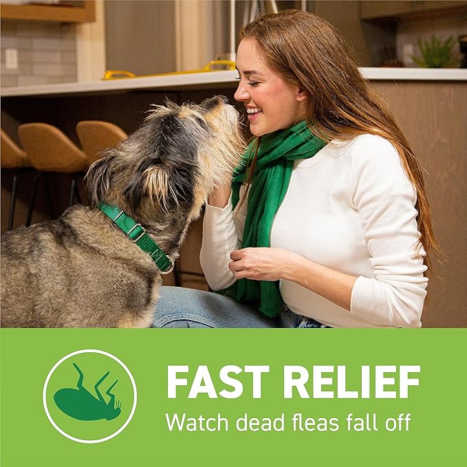 Capstar for Dogs (nitenpyram), Fast-Acting Oral Flea Treatment for Dogs Over 25+ lbs, Vet-Recommended Flea Medication Tablets Start Killing in 30 Minutes, 12 Doses