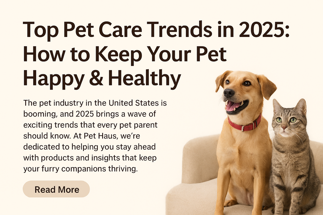 Top Pet Care Trends in 2025: How to Keep Your Pet Happy &amp; Healthy