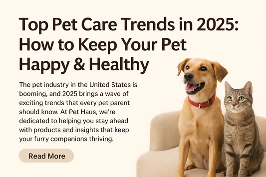 Top Pet Care Trends in 2025: How to Keep Your Pet Happy &amp; Healthy