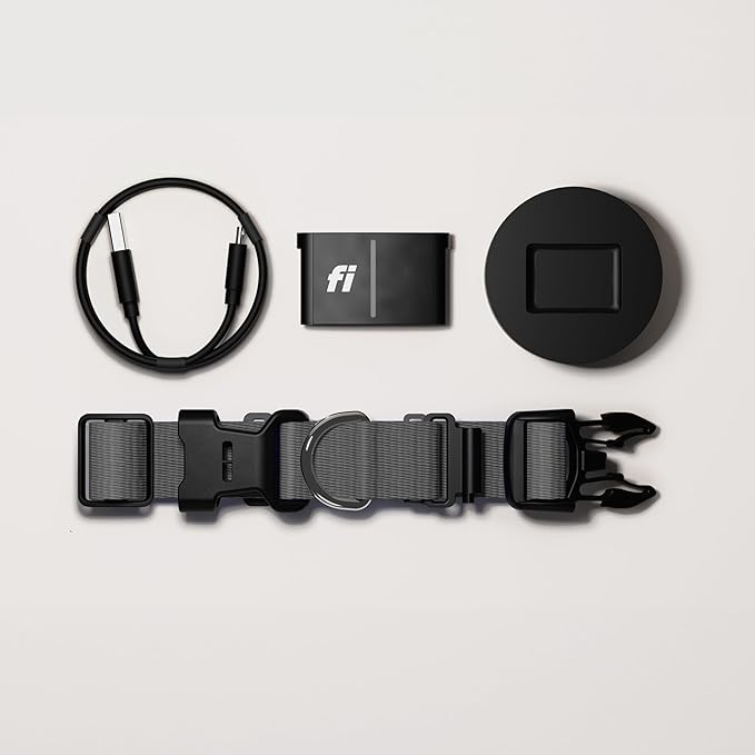 Smart Pet Gadgets Every Owner Needs in 2025