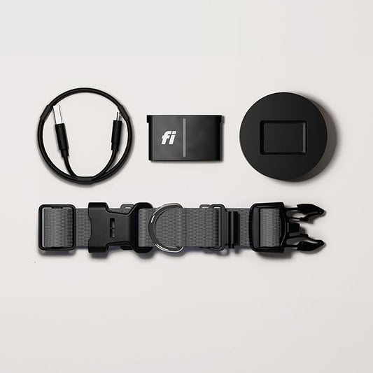 Smart Pet Gadgets Every Owner Needs in 2025