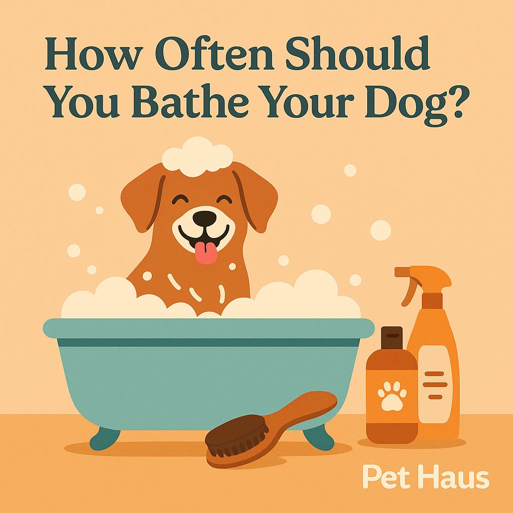 How Often Should You Bathe Your Dog? Grooming Routine Guide for 2025