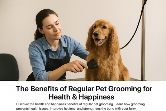 The Benefits of Regular Pet Grooming for Health & Happiness