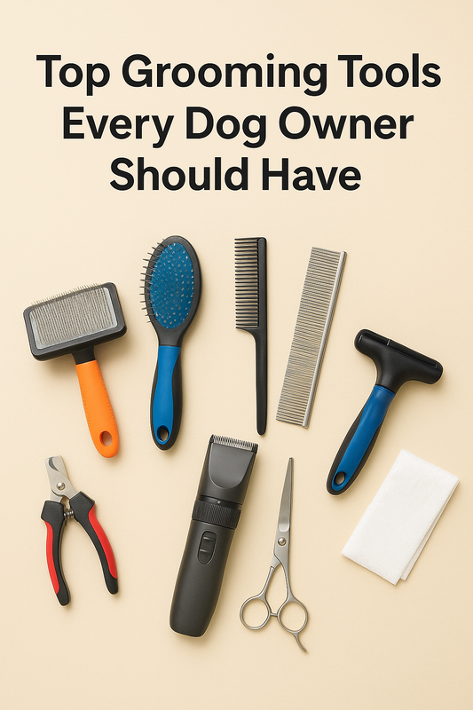 Top Grooming Tools Every Dog Owner Should Have