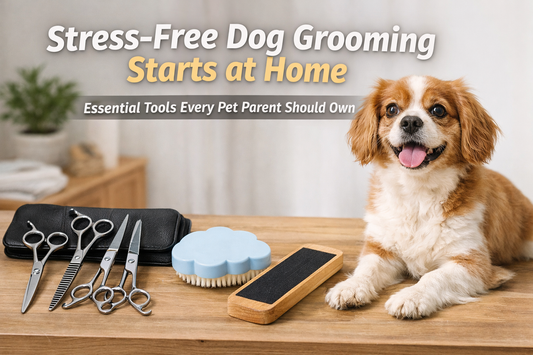 7 Essential Dog Grooming Tools for Easy At-Home Pet Care