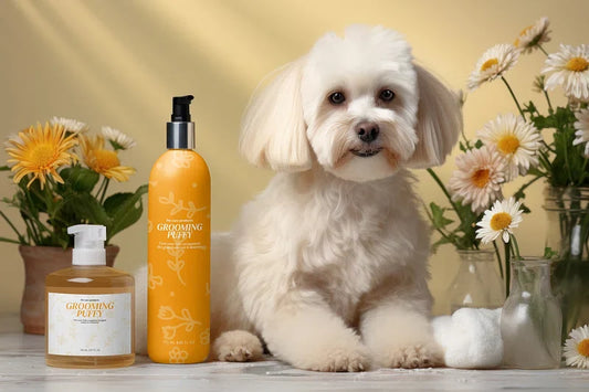 10 Types of Pet Shampoos Every Dog & Cat Owner Should Know