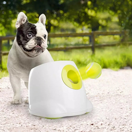 The Best Interactive Dog Toys to Keep Your Pup Active and Mentally Stimulated