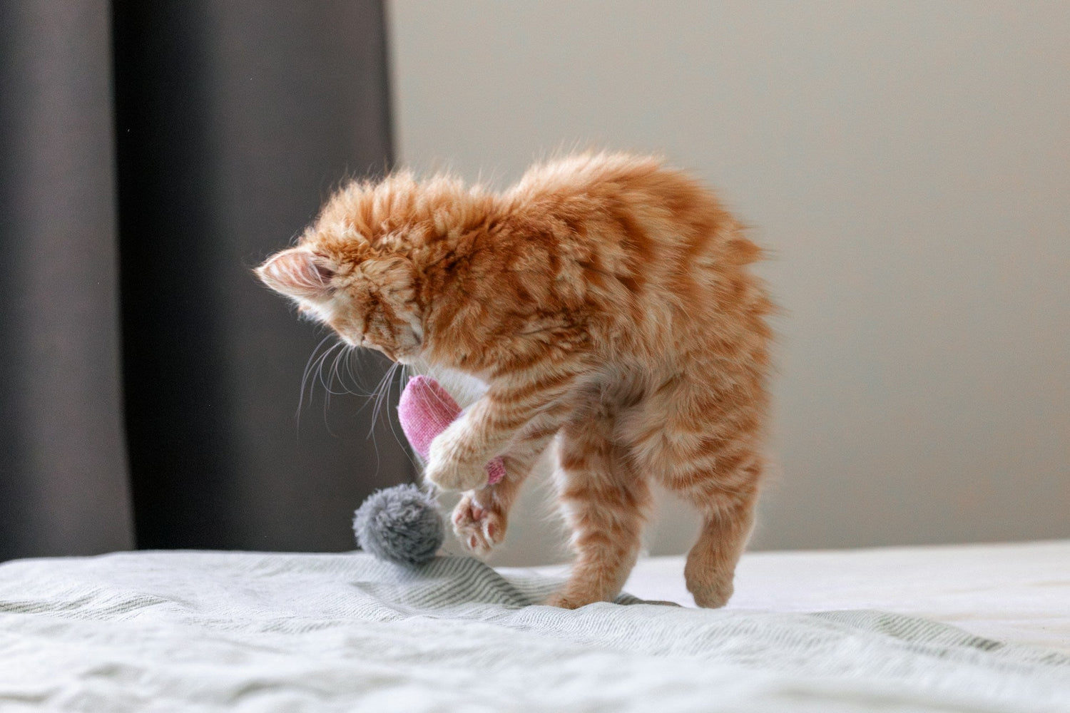 Toys & Play
