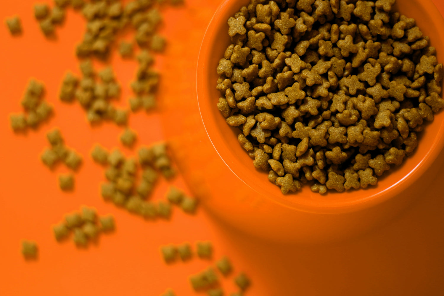 Dry & Canned Food