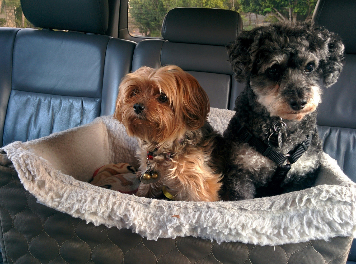 Car Seats & Covers