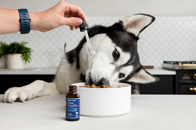 Multivitamins & Probiotics