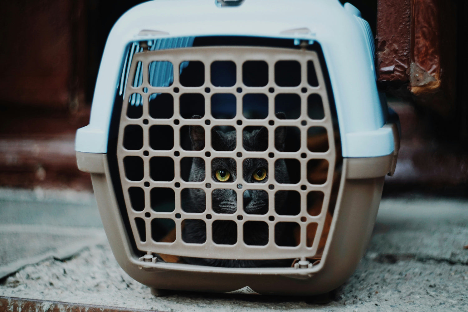 Crates & Enclosures