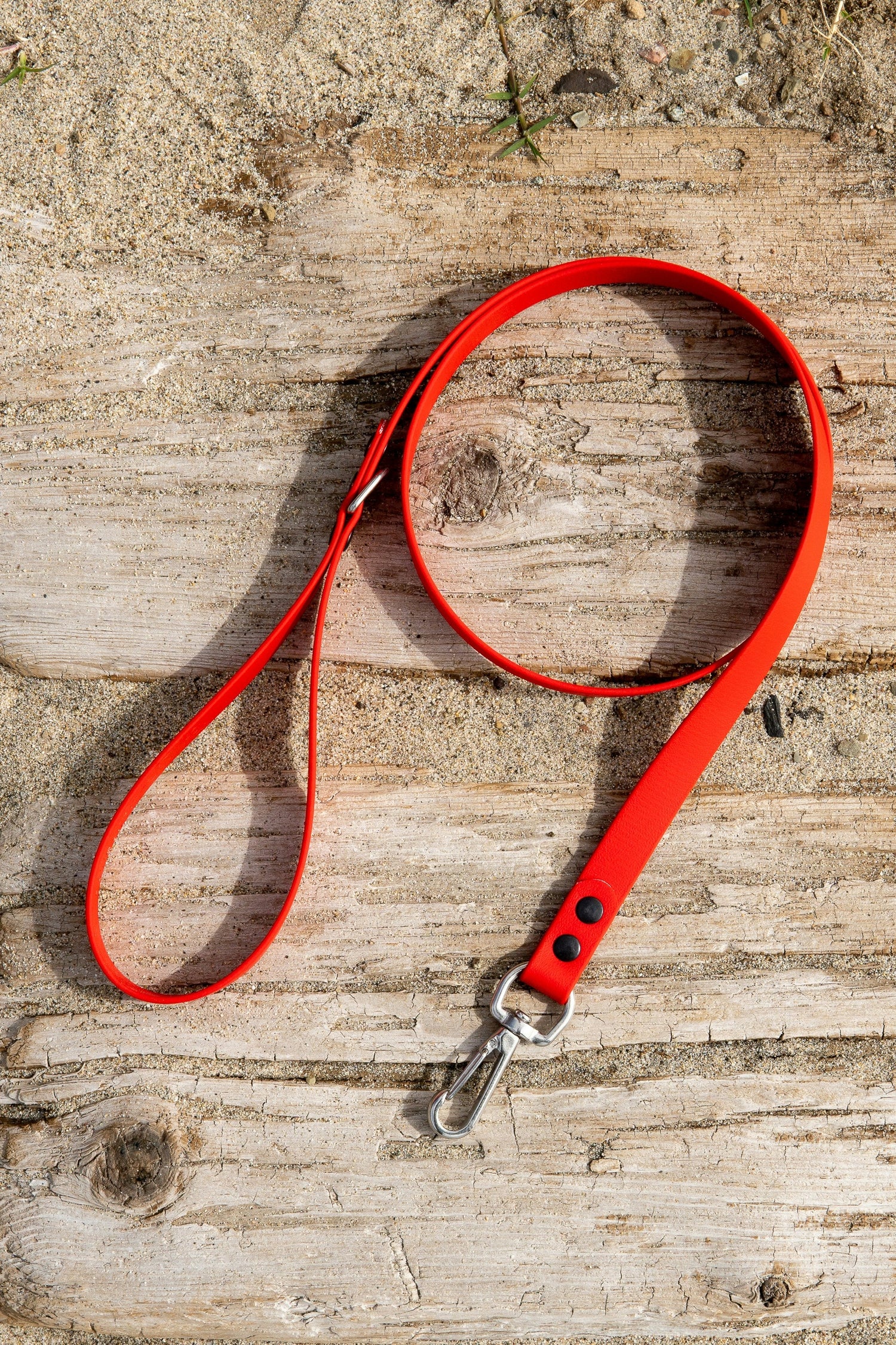 Leashes