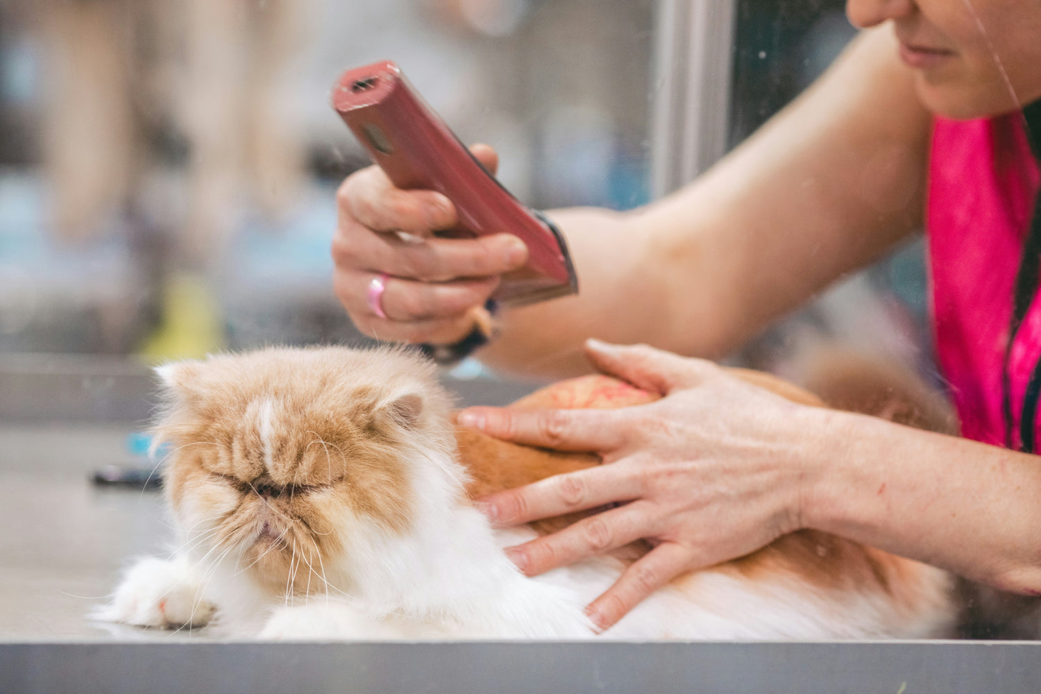 Grooming Tools
