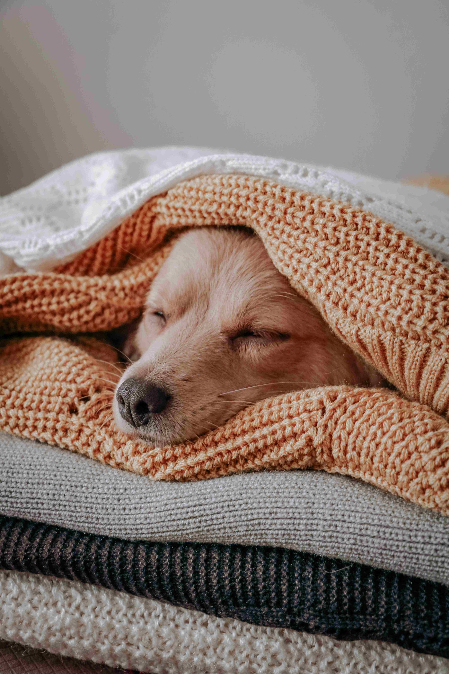 Bed Blankets & Covers