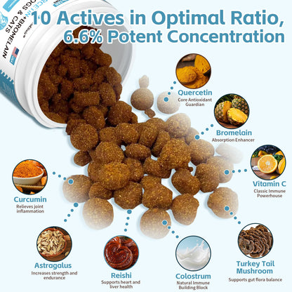 Quercetin for Dogs with Bromelain - Dog Allergy & Itch Relief Chews, Balanced Immune System – Skin & Ear Soothing Support for Yeast Infection, Hot Spots & Seasonal Allergies - 120 Treats