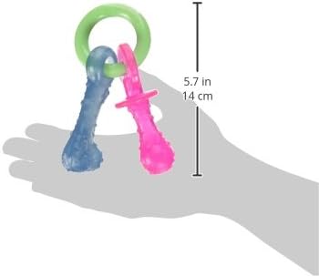 Nylabone Puppy Chew Teething Pacifier - Puppy Chew Toy for Teething - Puppy Supplies - Bacon Flavor, Small/Regular (1 Count)