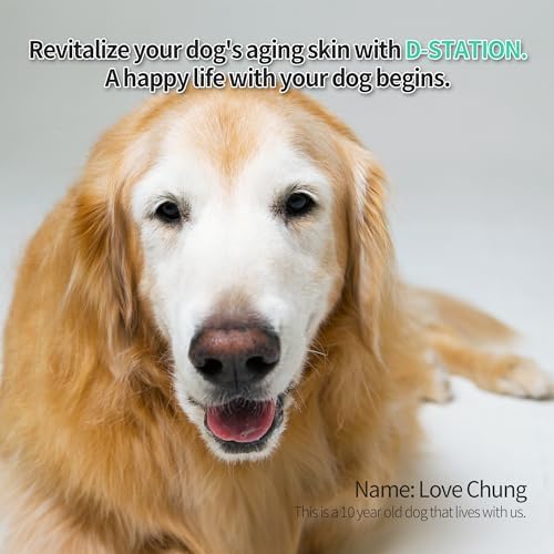 D-STATION PDRN Dog Shampoo Contains Ingredients Such as PDRN and Oatmeal, which Help Improve Skin Health, Moisturize, Relieve Itching, Prevent Odor, Provide Shine to The Coat. 16.9 oz