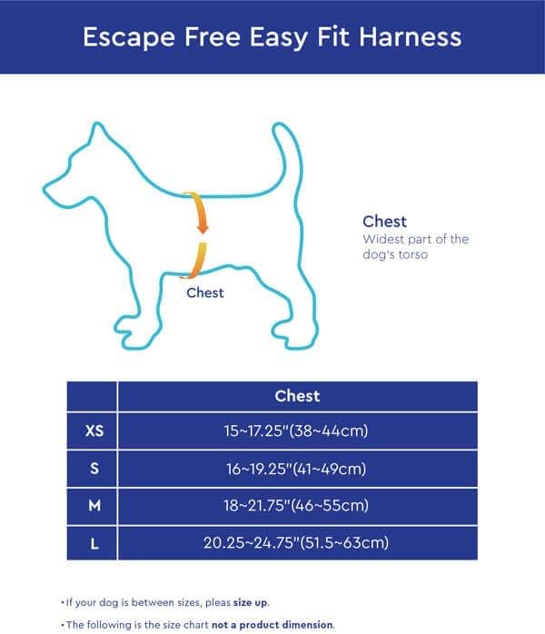 Gooby Escape Free Easy Fit Harness - Blue, Small - No Pull Step-in Patented Dog Harness with Quick Release Buckle for Small to Medium Dogs