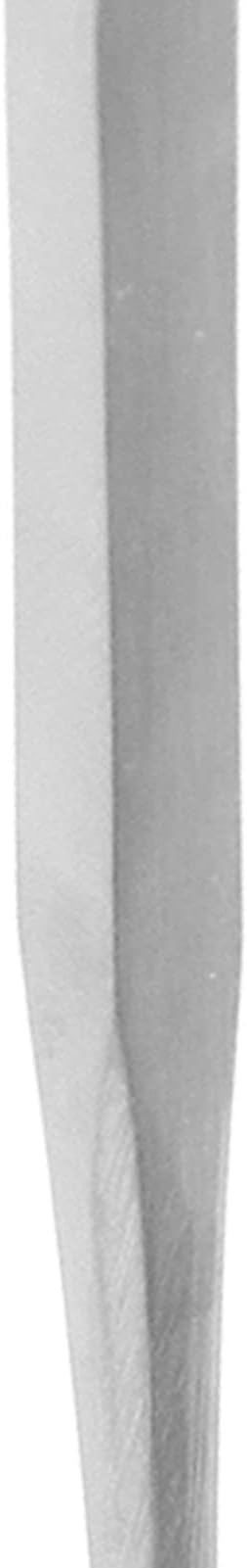 Spike, Fish Nail Thickened for Kitchen for Restaurant for Fish for