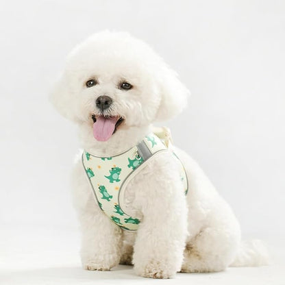 Step in Dog Harness and Leash Set, Flower Adjustable Easy Walk Puppy Harnesses, Soft Mesh No Pull Pet Vest Harness for Small Medium Dogs(Beige, S)