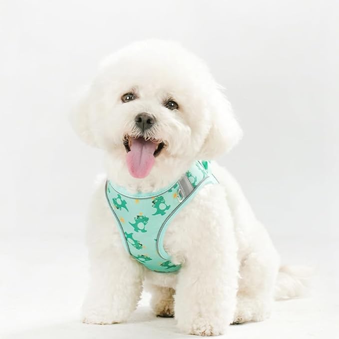 Step in Dog Harness and Leash Set, Flower Adjustable Easy Walk Puppy Harnesses, Soft Mesh No Pull Pet Vest Harness for Small Medium Dogs(Green, M)