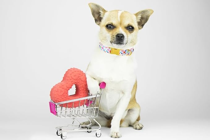 Lionet Paws Valentine Day Dog Collar, Heavy-Duty Cute Colorful Heart Pattern Collar with Metal Buckle Pet Necklace for Large Dog Gift, XLarge, Neck 16-26 inches